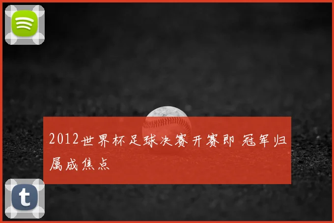 2012世界杯足球决赛开赛即 冠军归属成焦点